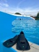 Labe de înot Aqua Sphere Microfin HP Blue/Black