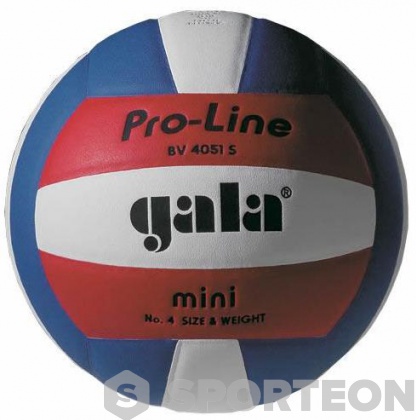 Minge de volei Gala Pro-Line Mini BV 4051 S