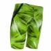 Costum de baie bărbați Michael Phelps Mesa Jammer Green