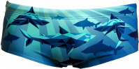 Funky Trunks Shark Bay Sidewinder Trunks Boys Funky Trunks Shark Bay Sidewinder Trunks Boys