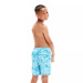 Speedo Printed 15 Watershort Boy Alpine Blue/Pool/White